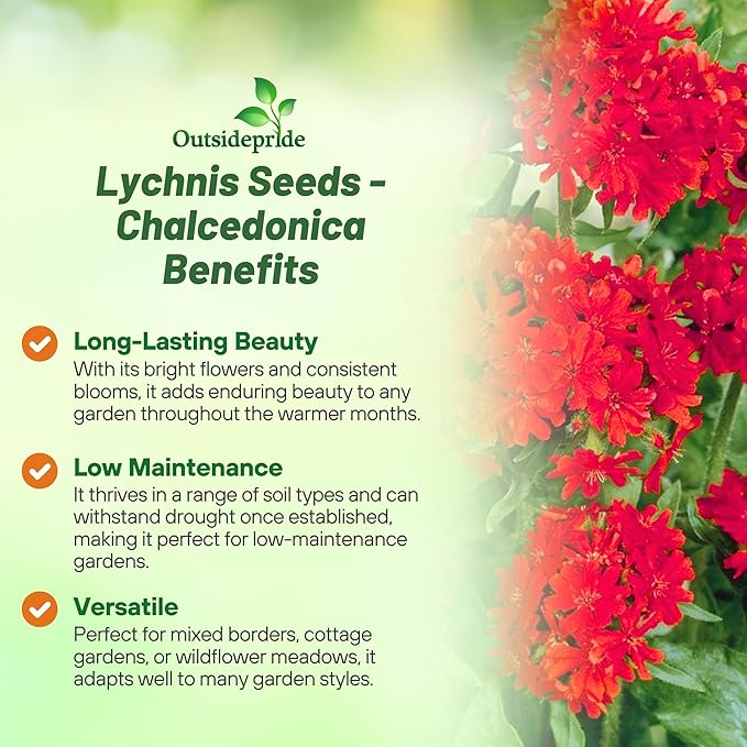 Outsidepride Chalcedonica Lychnis Seeds - 5000 Pcs Perennial Flower Seeds with Long Blooming Season & Attractive to Pollinators, Easy to Propagate for Borders, Containers, or Cottage Gardens