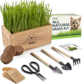 Cat Grass Kit for Indoor Cats – x4 Seed Packets | Cat Grass Seeds with Wooden Planter, Soil & Mini Gardening Tools for Nipping – Pet Wheatgrass Grass