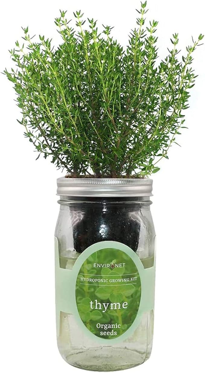 Hydroponic Herb Growing Kit, Self-Watering Mason Jar Herb Garden Starter Kit Indoor, Window Herbs Garden, Grow Your Own Herbs from Organic Seeds (Thyme)