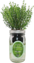 Hydroponic Herb Growing Kit, Self-Watering Mason Jar Herb Garden Starter Kit Indoor, Window Herbs Garden, Grow Your Own Herbs from Organic Seeds (Thyme)