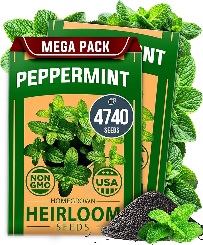 HOME GROWN Peppermint Seeds 2 Pack (Mentha × piperita) – 4,740 Heirloom Mint Seeds for Planting – Grow Indoors or Outdoors, Kitchen Herb Garden Favorite