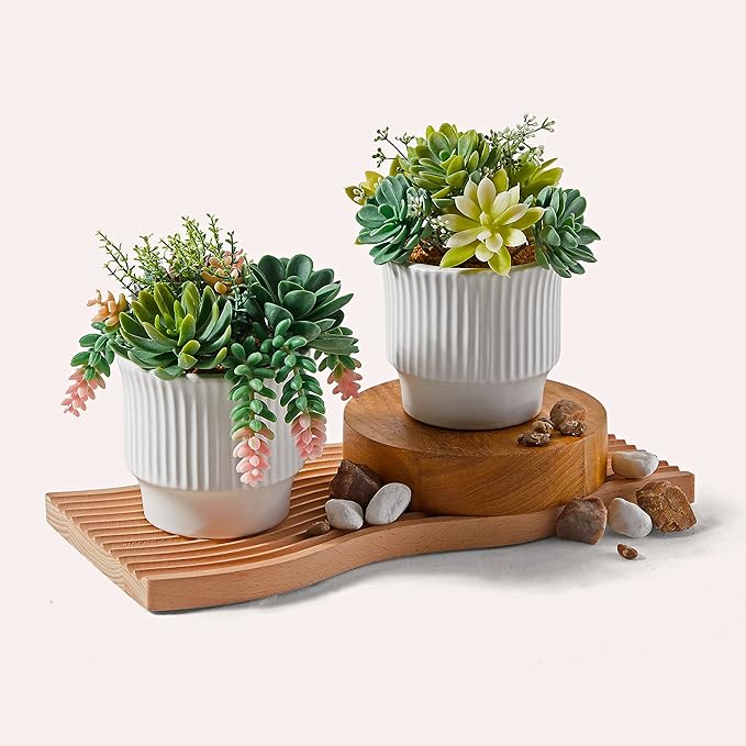 Artificial Succulent Plants, Faux Assorted Succulents Fake Plants in White Ceramic Pots for Home Decor, Bedroom, Office, Desk, Living Room, Set of 2