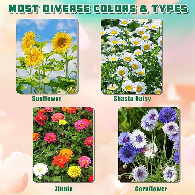 Indoor Daisy Garden Starter Kit, 4 Flower Seeds Growing into Shasta Daisy, Cornflower, Sunflower, Zinnia, Including Complete Gardening Tools, Christmas Gifts for Women Men & Beginners