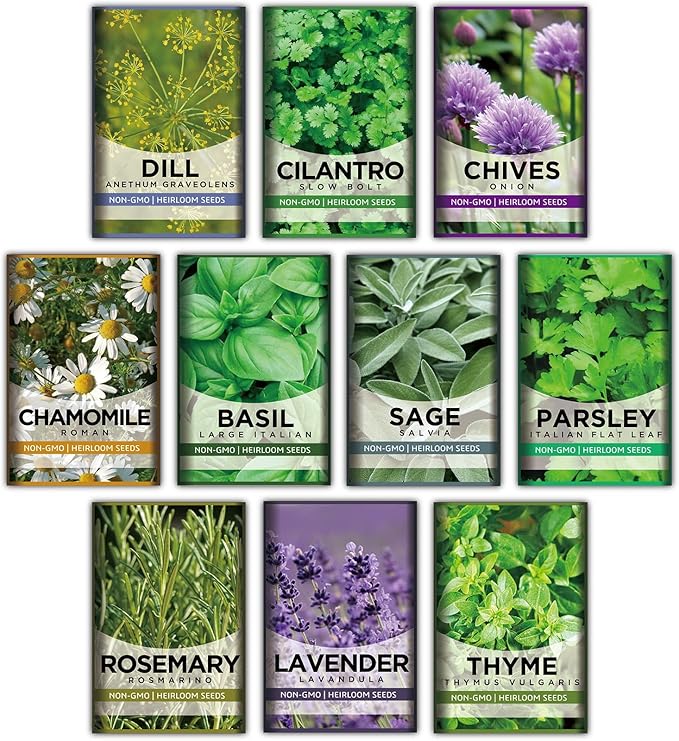 10 Kit Non-GMO Growing into Thyme, Lavender, Chamomile, Dill, Chives, Cilantro, Rosemary, Basil, Parsley, Sage Indoor/Outdoor for Kitchen Windowsill Gardening Gift