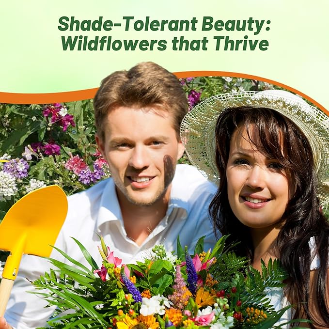 Outsidepride Partial Shade Wild Flower Seed Mix for All States - 5 lbs. Premium Blend of Annual & Perennial Wildflowers, Perfect for Partial Shade Areas, & Outdoor Planting for Gardens & Lawns