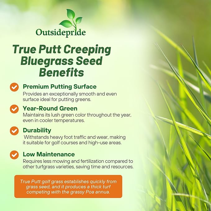Outsidepride True Putt Perennial Creeping Bluegrass Seed - 2 Lbs. Shade-Tolerant Bluegrass for Golf Courses & Home Putting Greens - Ideal for Dense, Fine-Textured Lush Turf in Low-Light Areas