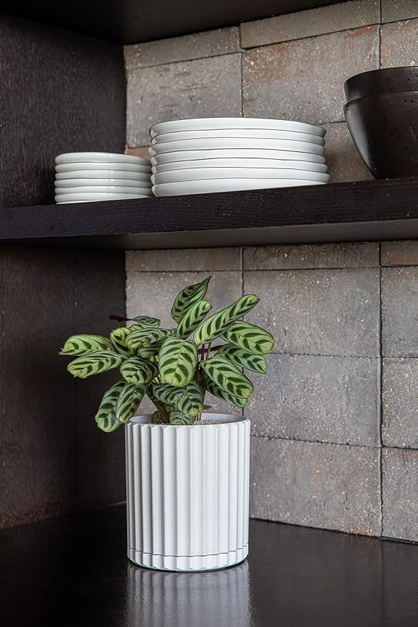 Veradek Demi Series Demi 6" Planter w/Tray, White