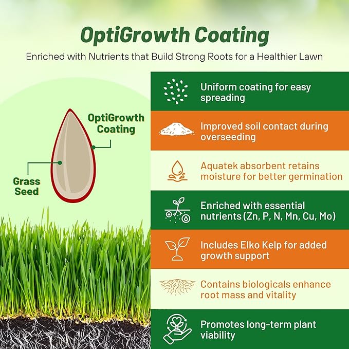 Outsidepride Midnight Kentucky Bluegrass Seed - 10 Lbs. Cold & Drought Tolerant, Sun-Loving Lawn Grass Seed, w/High Traffic Tolerance & Deep Root System, OptiGrowth Coated for Better Establishment