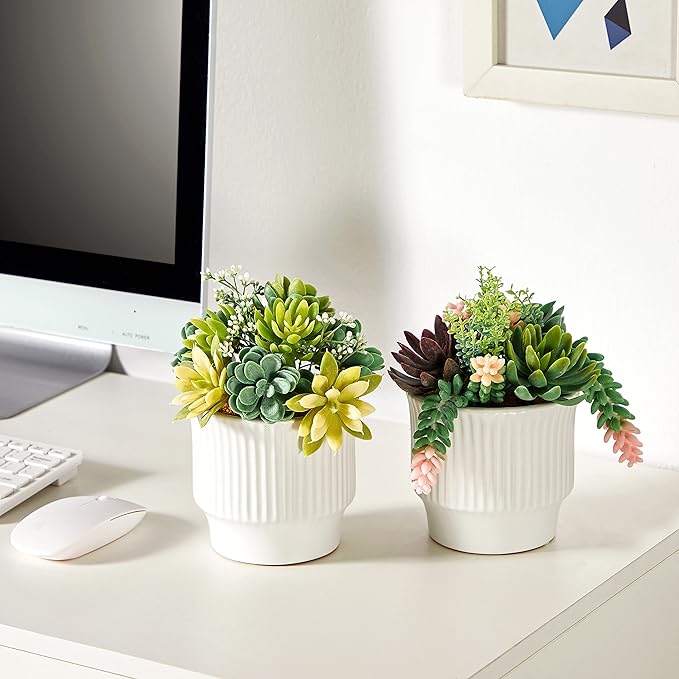 Artificial Succulent Plants, Faux Assorted Succulents Fake Plants in White Ceramic Pots for Home Decor, Bedroom, Office, Desk, Living Room, Set of 2