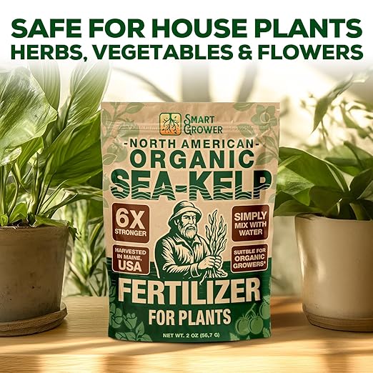 Organic Sea Kelp Fertilizer for Plants – Water-Soluble – Makes 50 Gallons – Kelp Meal Concentrate Plant Food – for Indoor Gardens, Hydroponics, Vegetables, Houseplants - Smart Grower - 2oz Bag
