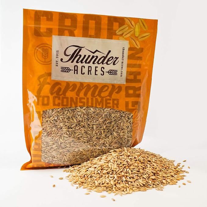 Thunder Acres Cat Grass Blend - Wheat, Barley, Oats, and Rye Seed Mix - Non-GMO - Certified Organic - Bonus CAT Toy (1 LB)