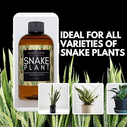 Lush Leaf | Plant Food (Snake Plant)