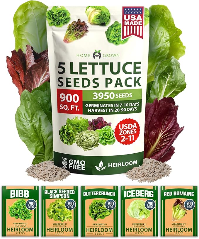 HOME GROWN 5 Lettuce Seed Pack – 3950 Heirloom Vegetable Seeds for Indoor, Outdoor, or Hydroponic Growing – Black Seeded Simpson, Red Romaine, Bibb, Buttercrunch, Iceberg Varieties (Lactuca Sativa)