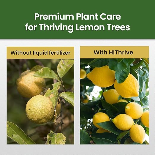 16oz Lemon Tree Fertilizer - Makes 16 Gallons of 2-in-1 Liquid Fertilizer, 4-3-6 NPK Liquid Plant Food with Macronutrients + Micronutrients for Lush Growth, Stronger Roots, and Juicy Lemons