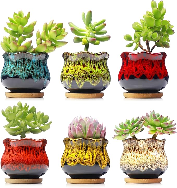 Cute Ceramic Succulent Planters, Garden Pots with Drainage and Attached Saucer, Set of 6 - Plants Not Included