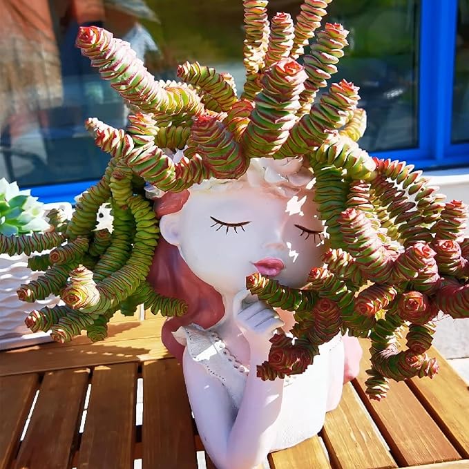 Sprout N Green 4" String of Buttons, Live Crassula 'Baby's Necklace' Trailing Succulent Rooted in Pots, Rare House Plant for Home Office Wedding Hanging Decoration, DIY Projects, Party Favor