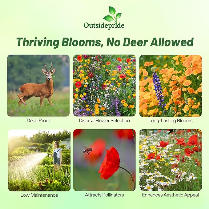 Outsidepride Deer Proof Wildflower Seed Mix - 1/4 lbs. Colorful Blend of Easy to Grow, Drought-Tolerant Annual & Perennial Wildflower Seeds for a Deer-Free,Vibrant Meadow & Pollinator-Friendly Garden