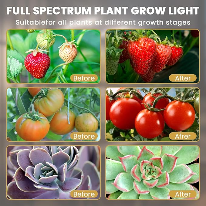 bseah Grow Light for Indoor Plants, Full Spectrum Plant Grow Lamp with 3/9/12H Timer, ON & Off, Clip-On Desk for Seed Starting 2 Pack