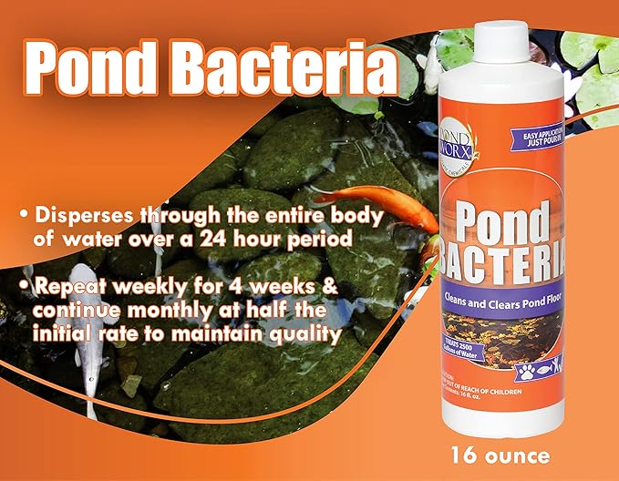 Pondworx Pond Bacteria - Concentrated & Formulated for Water Features - Safe for Koi - 16 Ounces & Treats up to 2,500 gallons of Water