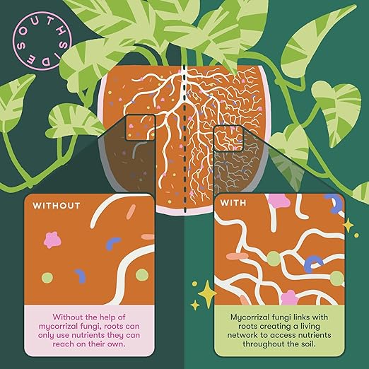 Leafy Plant Food with Mycorrhizal Fungi - Use Year-Round - Makes 200 Liters Gentle Houseplant Fertilizer for Indoor Potted Plants