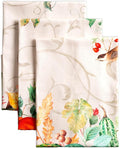 Maison d' Hermine Kitchen Towels Set of 3 100% Cotton 20" x 27.5" Reusable