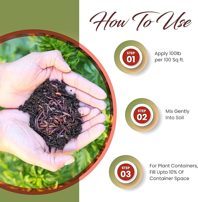 Worm Bliss (1 Qt) + Coco Coir Brick (650gms) + Char Bliss (1 Qt) - Organic Coco Coir for Plants - Worm Castings & Biochar for Plants - Organic Fertilizer & Soil Amendment Bundle - Potting Soil Mix