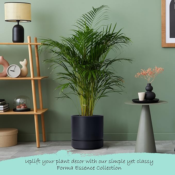 Phoenix Vine 8 Inch Planter Pot with Drainage Hole & Saucer, Deep Water Catch Tray, Straight Cylindrical Round Pot for Plants, Matte Black, Pack of 1, 23-C-T-1