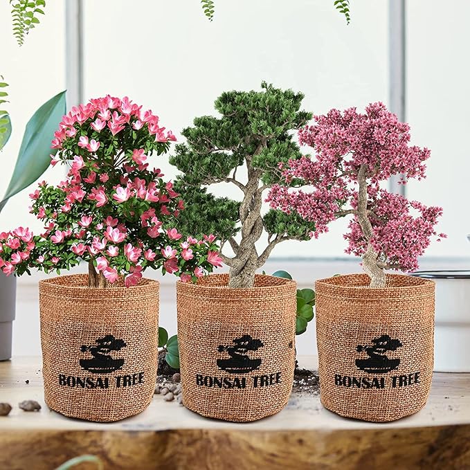 Indoor Starter Kit with Complete Planting Tools, Gardening DIY Gift for Plant Lovers