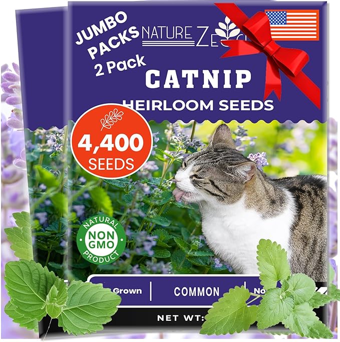 NatureZ Edge Catnip Seeds for Planting, 2.6 Grams, 4400+ Herb Seeds, Indoor or Outdoor Growing, Your Cat Will Love Them, Non-GMO