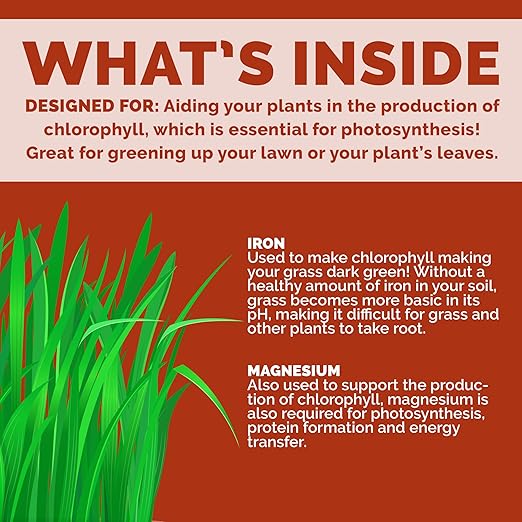 Bloom City's Organic Liquid Iron - Chelated Iron Fertilizer for Plants, 32 oz