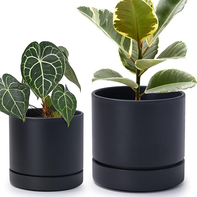 Phoenix Vine 6 Inch and 8 Inch Planter Pot with Drainage Hole & Deep Water Catch Tray Saucer, Straight Cylindrical Round Pot for Plants, Matte Black, 23-A-2-Y