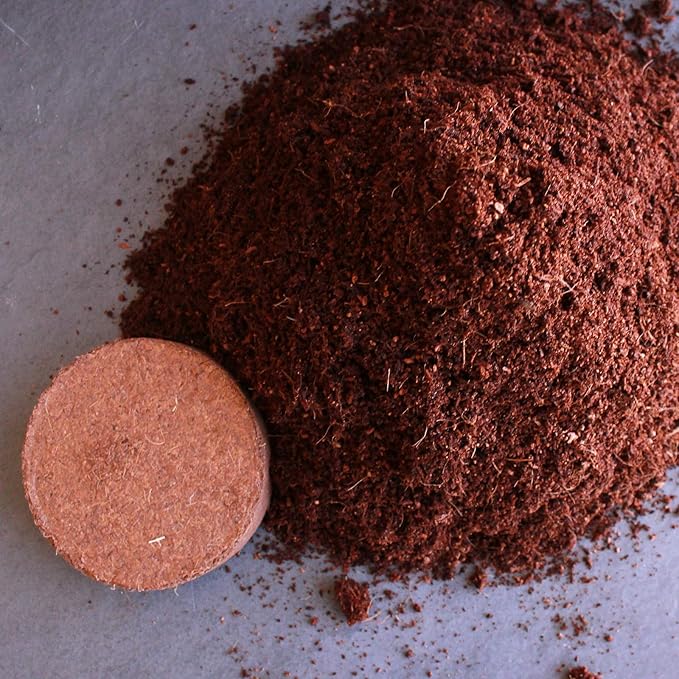 Minute Soil - Compressed Coco Coir Fiber Grow Medium - 80 MM Pucks - 10 Pack = 2.5 Gallons of Potting Soil - Indoor Container Growing: Wheatgrass, Microgreens, Flowers - Just Add Water - OMRI Organic