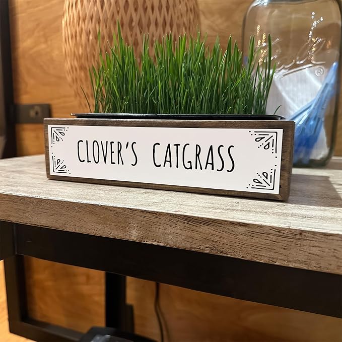 Whetagrass Kits (Wheatgrass Grow Kit - Custom Box)