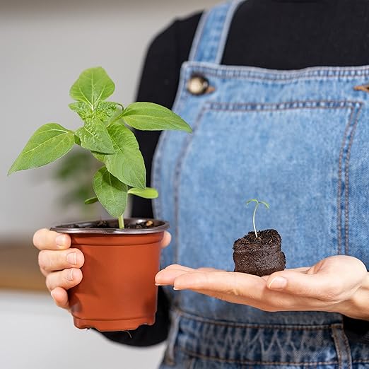 Coco Coir Seed Starter Pellets: 125 Coconut Coir Plugs for Growing Plants - Peat Free Seedling Soil - Seed Starter Kit with Potting Soil Pellets - Gardening Supplies from OwnGrown