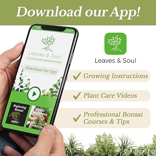 LEAVES AND SOUL Professional Liquid Corn Fertilizer | 5-1-5 Concentrate, Liquid Plant Fertilizer for Garden, Healthy Produce, Good Harvest, Multi-Purpose Blend & Gardening Supplies | 8 oz