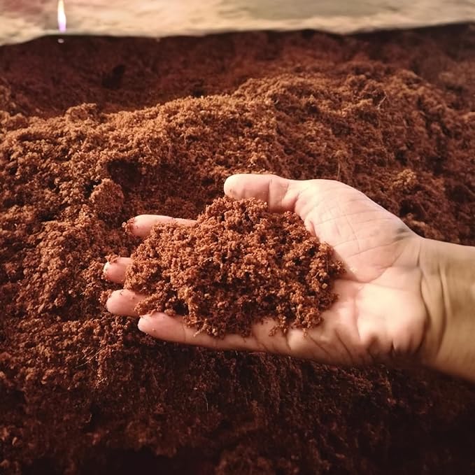 Coco Coir 650g Brick - Premium Organic Coco Peat Brick for Garden Soil & Potting Mixes-Coconut Fiber Substrate Mixes with Potting Soil for Indoor Plants & Outdoor Plants