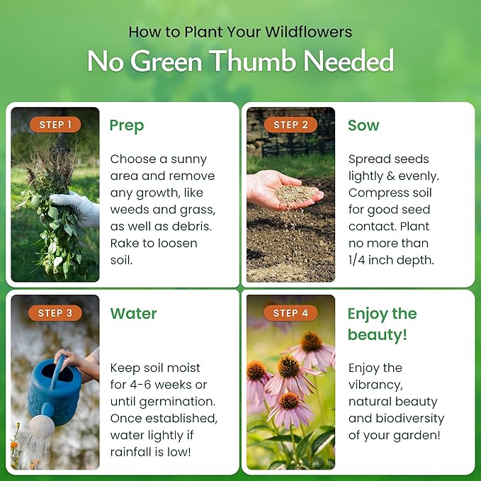 Created By Nature Florida Wildflower Seed Mix, 18 Flower Varieties, 35,000 Seeds