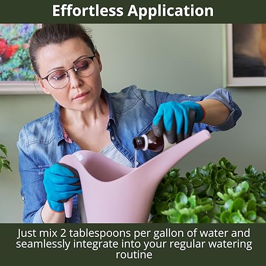 3-1-2 African Violet Fertilizer for Indoor Plants: Liquid Fertilizer with Essential Micronutrients Drops - Plant Food for African Violets (32 OZ)