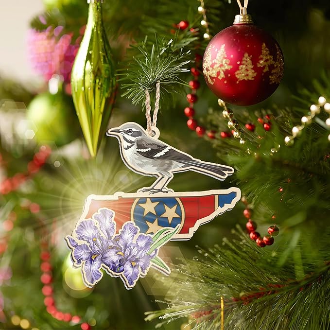 FLAGWIX Christmas Tennessee Gifts for Women Men - Suncatcher Tennessee Christmas Ornaments 2025 - State Ornaments for Tree with Mockingbird and Purple Iris, Xmas Decorations Gifts for Friend Family
