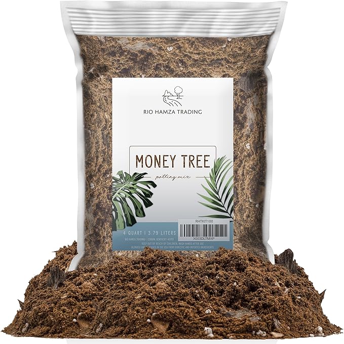 Money Tree Soil (4 Quarts), Potting Mix for Planting/Repotting Pachira Aquatica, All-Natural Custom Soil Blend