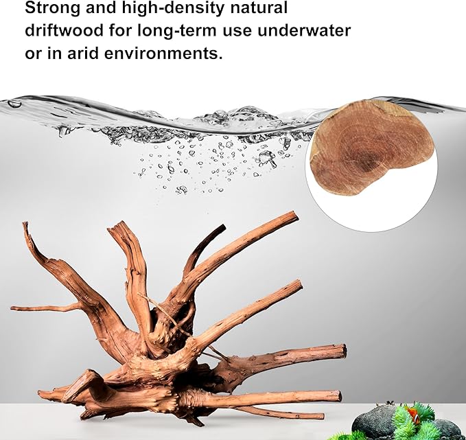 majoywoo Natural Large Driftwood for Aquarium Decor Reptile Decor, Assorted Spider Wood Branch 11-14" 2 Pcs, Fish Tank Decoration
