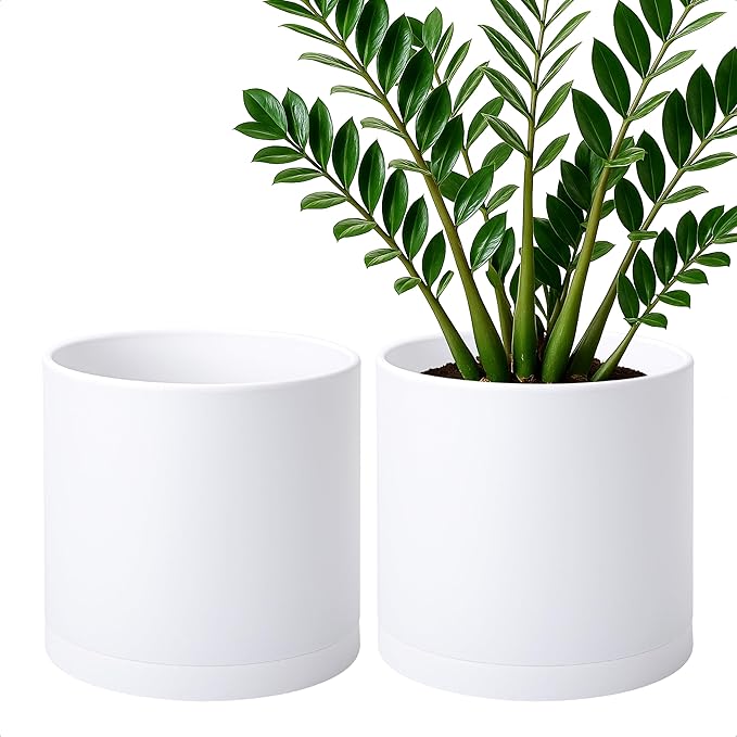 D'vine Dev 2 Pack 10 Inch Modern Plastic Plant Pots, Cylindrical Garden Planters for Plants with Drainage Holes and Saucers, White, 74-Z-N-1