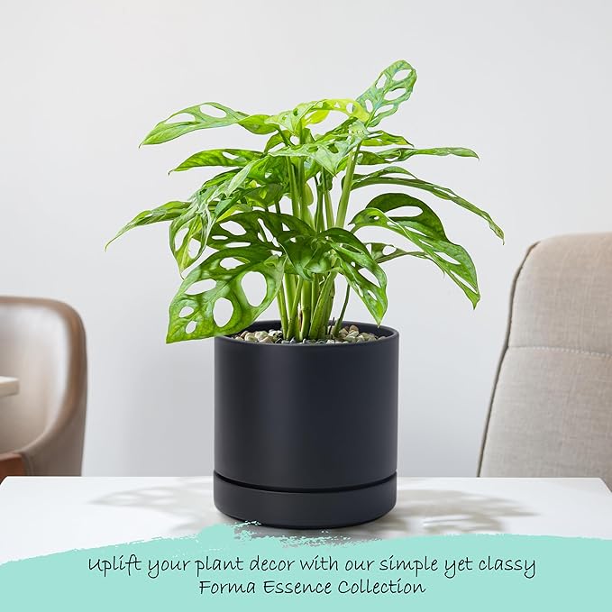 Phoenix Vine 6 Inch Planter Pot with Drainage Hole & Saucer, Deep Water Catch Tray, Straight Cylindrical Round Pot for Plants, Matte Black, Pack of 2, 23-C-S-2