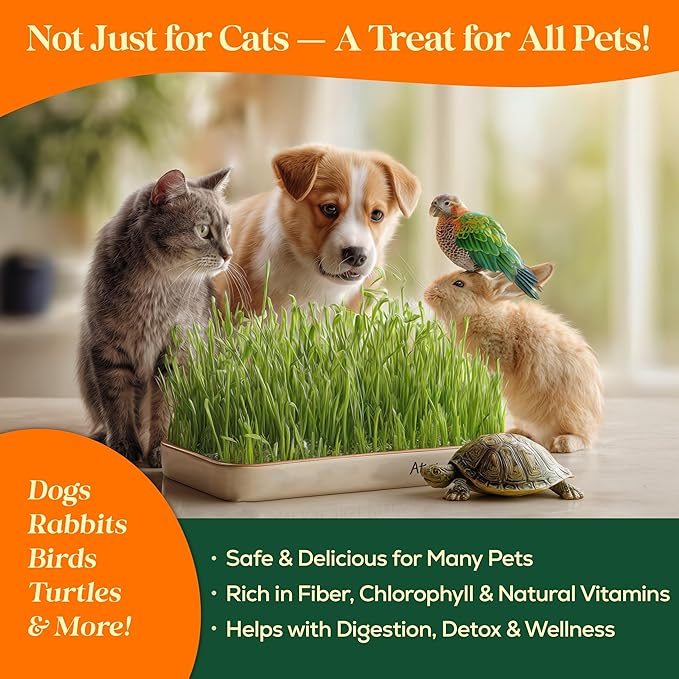 Cat Grass Seed Mix – 4 oz Pack with 5,200 Non-GMO Heirloom Seeds for Cats, Barley, Oat, Rye & Wheatgrass for Indoor Growing, Fresh Pet Grass for Digestion & Hairball Control