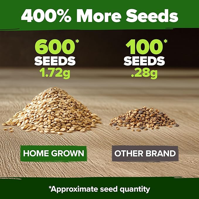 HOME GROWN Beefsteak Tomato Seed 2Pack - 600 Heirloom Tomato Seeds for Planting Outdoors – High-Yield Non-GMO Vegetable Seeds for Growing Large, Meaty Tomatoes for Summer Dishes (Solanum lycopersicum)
