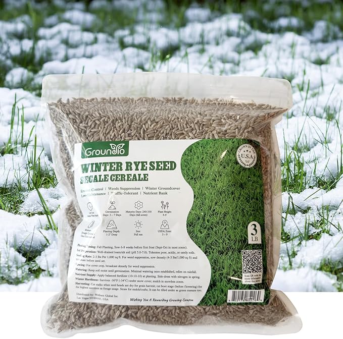 Winter Rye Seeds, 3lbs Non-GMO Cover Crop Seeds, Annual Secale Cereale to Plant for Lawn Alternative, Rye Grass Seed Grown in The USA