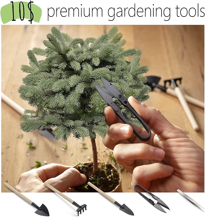 Bonsai Starter Kit – Growing Jacaranda Bonzai Tree from Seeds | Complete Indoor Tree Kit for Growing Plants with Tools & Planter – Gardening Gifts for Mother, Women & Men
