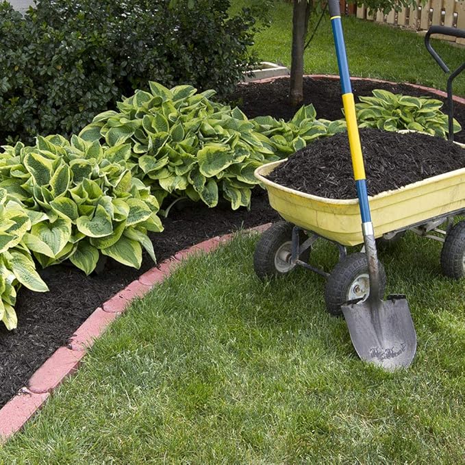 6 Pack of Mixed Heart-Shaped Hosta Bare Roots Plants - Rich Green Foliage, Low Maintenance for Your Home and Garden, Shipped Fresh & Daily from Our Coolers. 1000's Sold