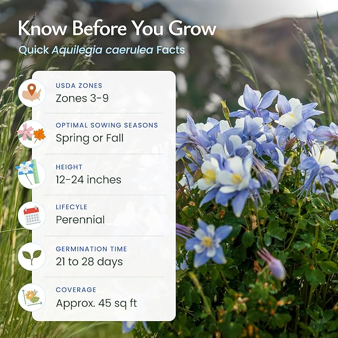 Created By Nature Blue Columbine Flower Seeds, 2,400 Perennial Seeds, Colorado State Flower