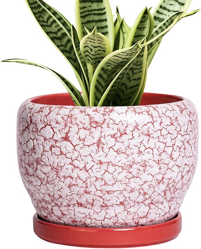 SQOWL 6 Inch Plant Pot - Ceramic Planter for Indoor Outdoor, Round Decorative Plant Pot with Drainage Hole and Saucer, Small Flower Planter, Home Balcony Decor, Gifts for Women Men, Red and White